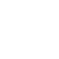 N-Core Icon Processes